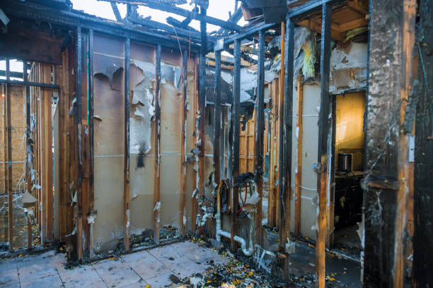 Professional Fire Damage Repair technician working in Longwood, FL